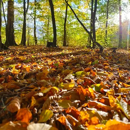Sloneczna Polana Vakantiehuis Slajszewo